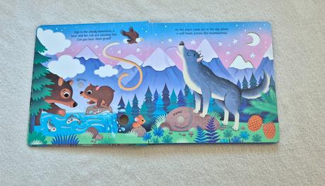 Zvuková knižka usborne,