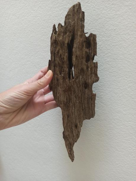 Dekoračný koreň a umelá rastlina,
