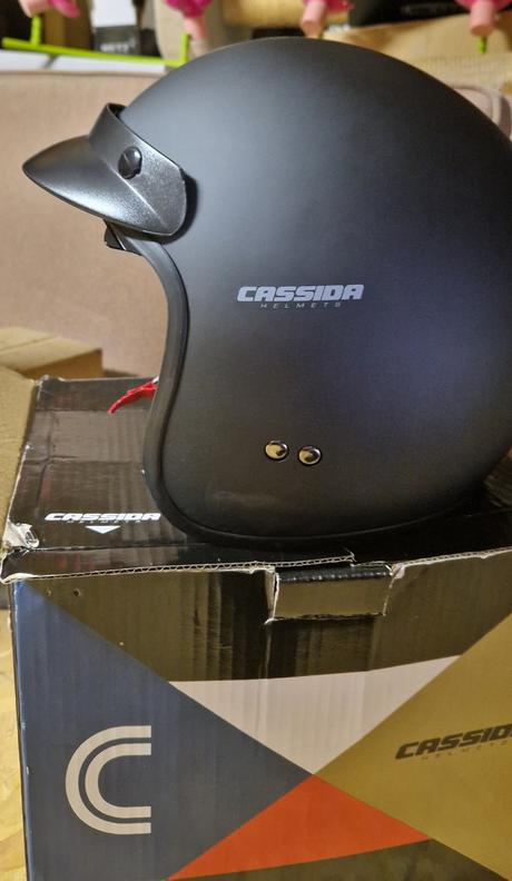 Lyziarska prilba -cassida, m