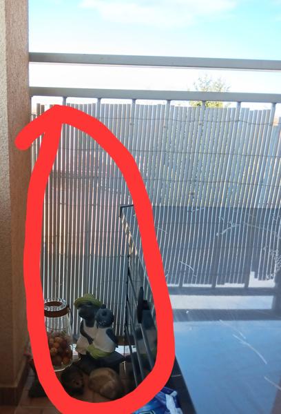 Ako zariadiť nekrytý balkón?