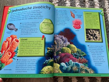 Všetko čo potrebuješ vedieť o živočíchoch,