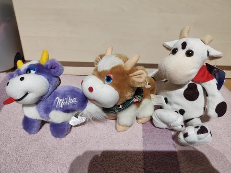 Kravička čiernobiela, 