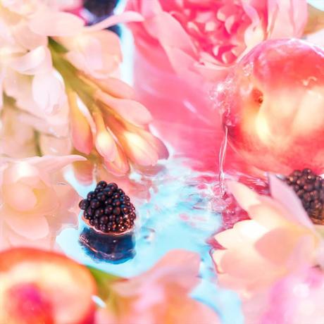 Roja parfums elysium pour femme parfum,