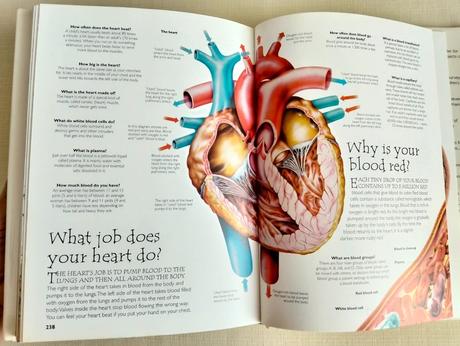 Question and answer encyclopedia,