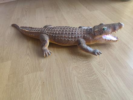 Krokodíl, 