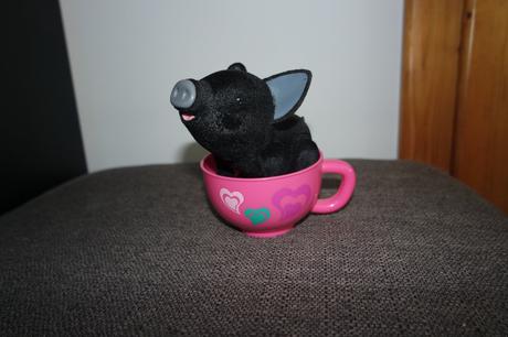 Teacup piggies-roztomilé prasiatko, 
