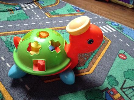 Korytnačka - tvary,