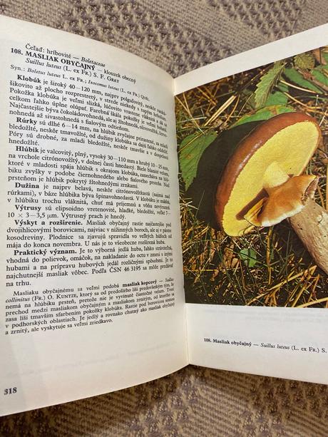 Krásny a praktický atlas húb aurel dermek,