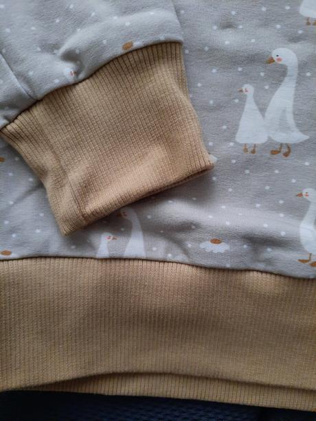 Mikina húsky amanita, 110