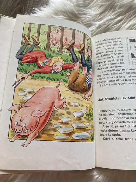 Kuře napipi a jeho přátelé ondřej sekora (1991),