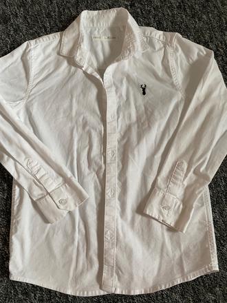 Kosela next, next,122