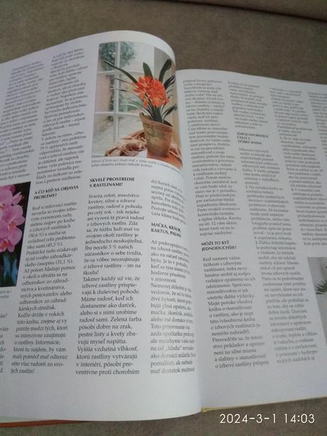 Lekar izbovych rastlin - kötter, 