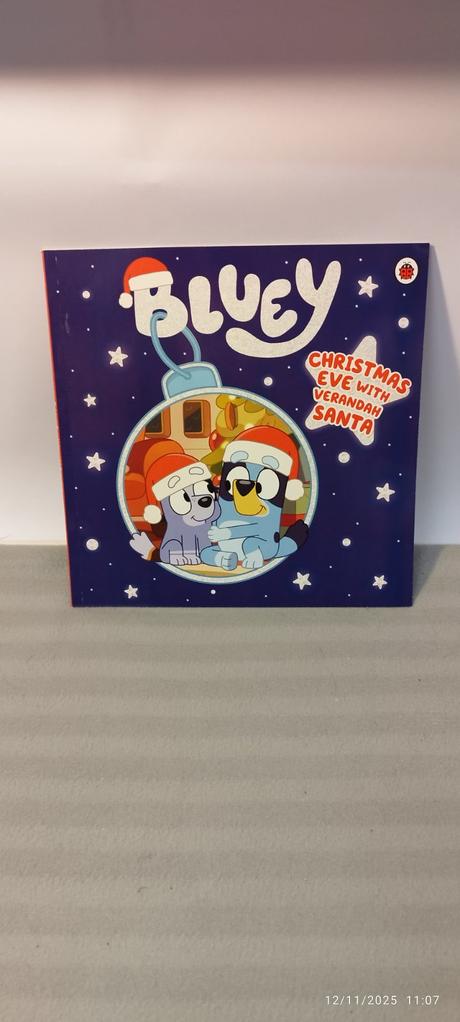 Bluey christmas eve with verandah santa,