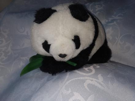 Panda plyšová, 