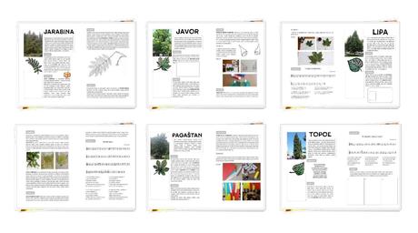 Pracovný zošit v pdf- listnaté stromy (35 a4),