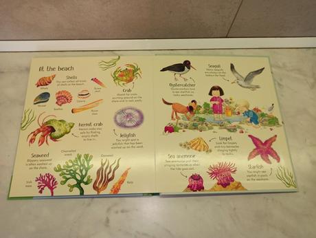 Poppy and sam's nature spotting book, 