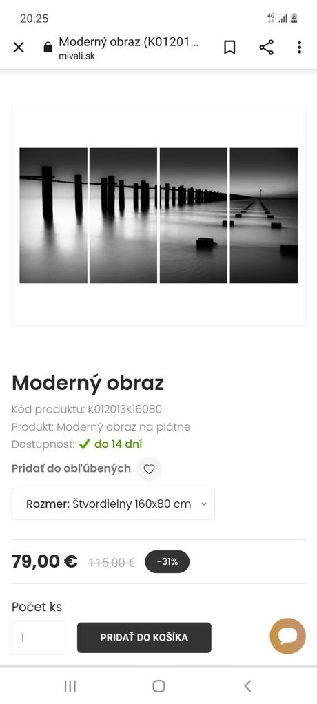 Obraz mivali,