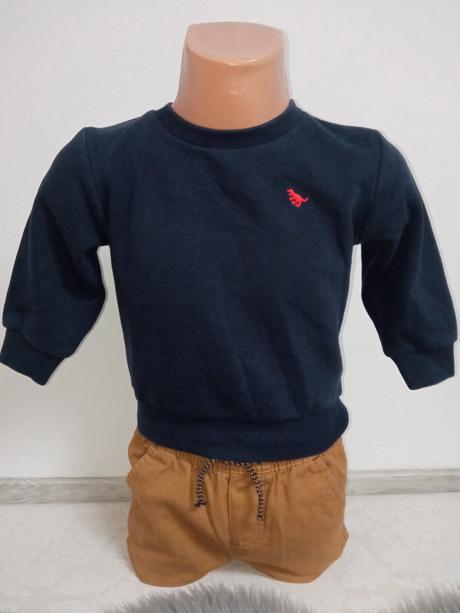 Chlapčenská mikina s dinosaurom (80), next,80