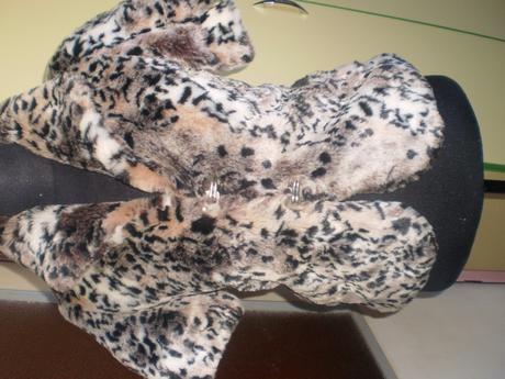 Kozusinova vesta, xs