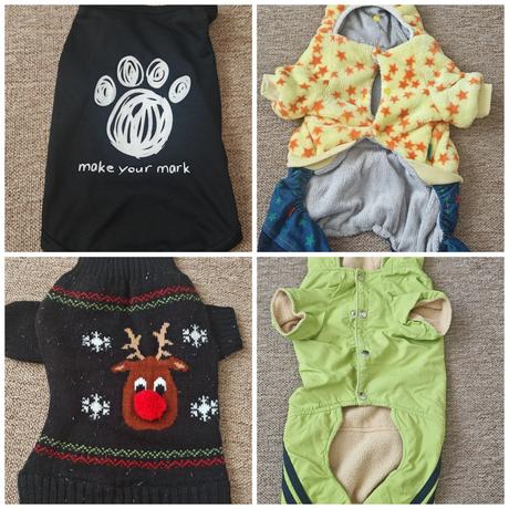 Oblečko pre psíkov, 