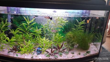 Akvárium s filtráciou v dobrom stave, 