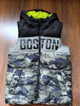 Vesta, chapter young,134