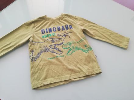 Tričko s dlhým rukávom, coccodrillo,104