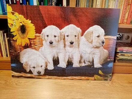Puzzle obraz šteniatka,