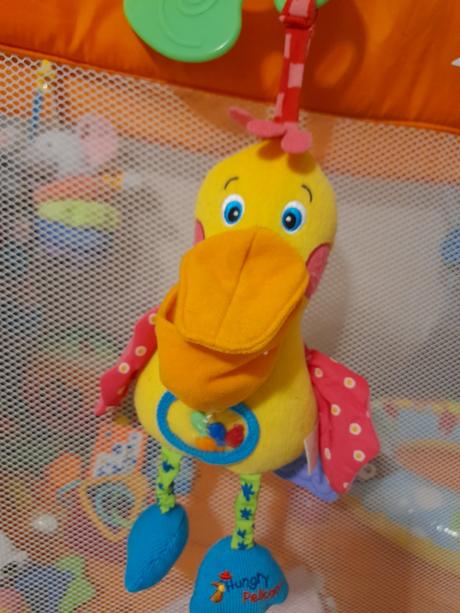 Veľký závesný pelikán,