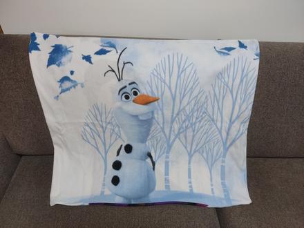 Mikroplyš obliečky frozen, 