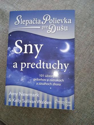 Kniha sny a predtuchy slepačia polievka pre dušiu,