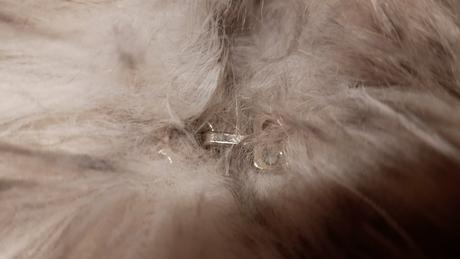 Predám obojstranný exkluzívny kožušek veľ. s-xl, 