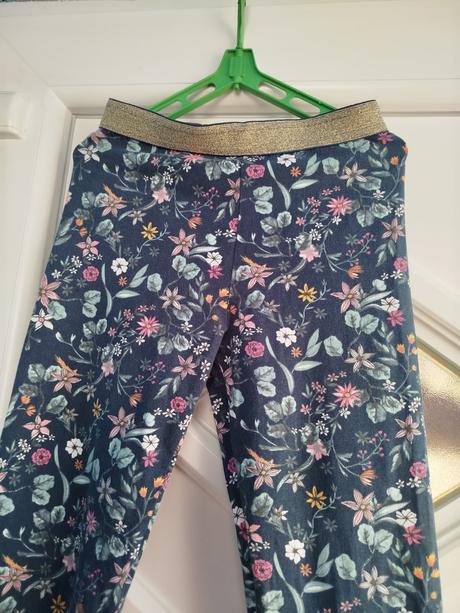 Legíny, coccodrillo,164