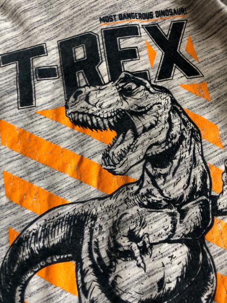 Rolak s dinosaurom, dopodopo,110