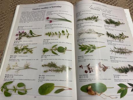 Biozáhrada pre radosť a zdravie geoff hamilton,