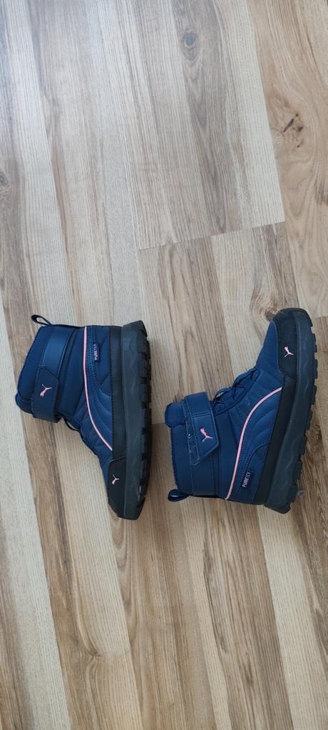 Snehule, puma,35