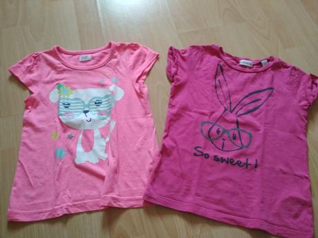 Tričká psík a zajko, 116