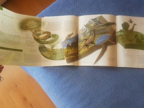 Náučná brožúra /kniha o  dinosauroch, 