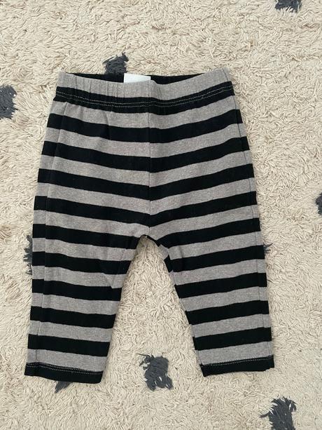 Pruhovane leginy zara, 74, zara,74