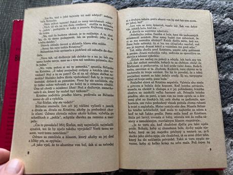 Zuzka zguriška bičianka z doliny (1966),