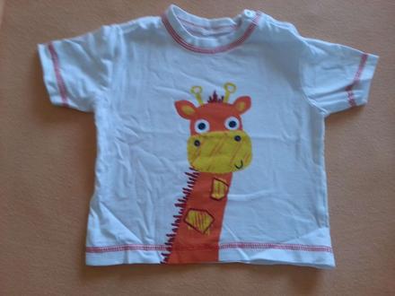 Zirafkove tricenko top stav, f&f,74