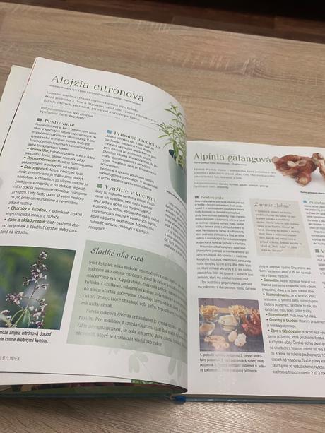 Velká kniha bylinek bylinky, 