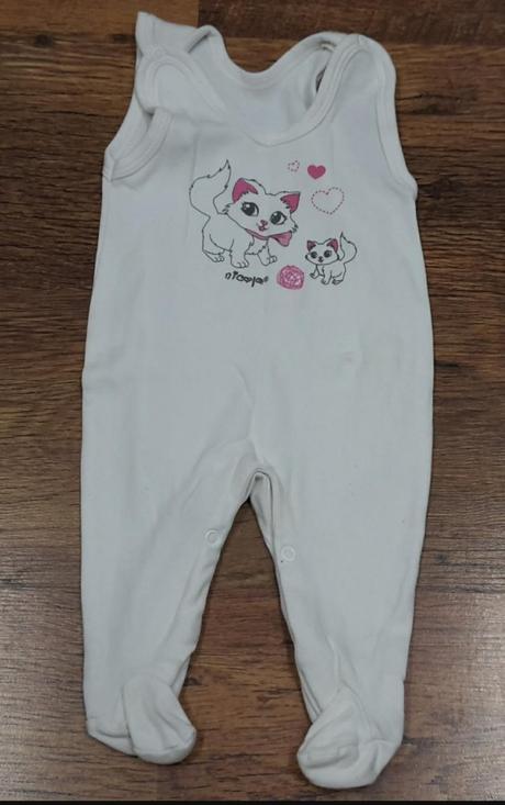 Dupačky mačičky, 62