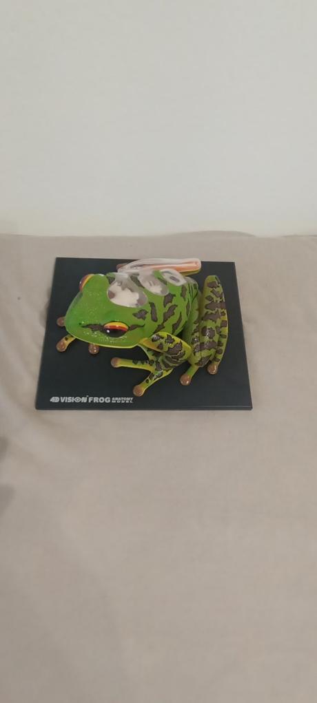 4d vision frog anatomy model, 