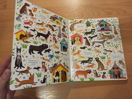 Usborne look and find cats and dogs,