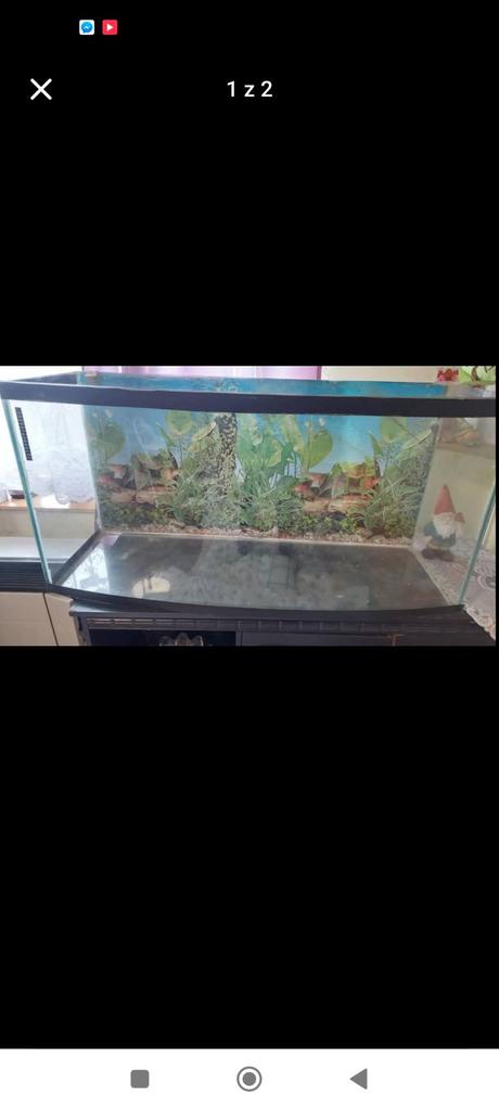Terarium, 