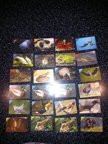 Nálepky animal kingdom, 