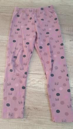 Leginy, coccodrillo,110