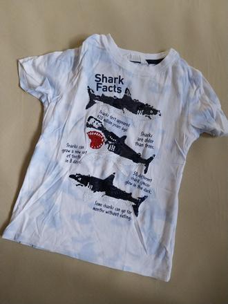 Tricko žralok, h&m,122