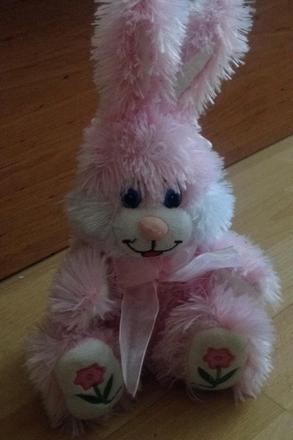 Plysak-ružovy zajačik,